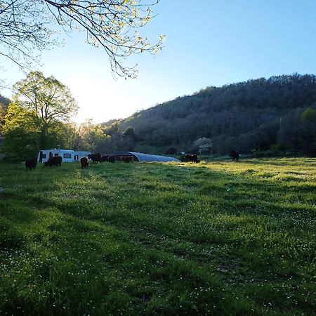 Ferme Les Therondels Saint-Pons-de-Thomieres Exterior photo